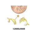 10k Yellow Gold Dolphin Stud Earrings Screwbacks W