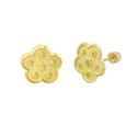 10k Yellow Gold 5 Petal Flower Stud Earrings Screw