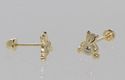 Teddy Bear Stud Earrings 10k Yellow Gold 6mm CZ Sc