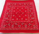 Vintage Red Bandana Handkerchief Fast Color All Co