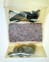 Vintage Vietnam Era Personal Sewing Kit w/Military