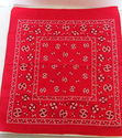 Vintage Red Bandana Handkerchief Fast Color All Co