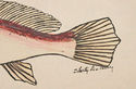 Vintage Pencil Sketch Drawing Croaker Fish Artist 