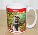 Schnauzer Mug Cup Ceramic Large Dog Lovers with Gi