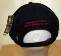  Obama Inauguration Day Countdown Cap Hat 2009 Pun