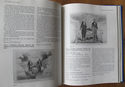 American Political Prints 1766/1876 Collections in