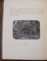 1884 Atala Illustrated Gustave Dore -handsome ligh