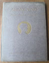 1920 John Galsworthy.  Awakening. Illustrated. Art