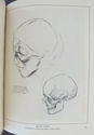 1931. Figure Drawing And Portraiture In Lead Penci