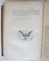 1861 Treatise on Wood Engraving Historical and Pra