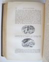 1861 Treatise on Wood Engraving Historical and Pra