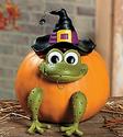 Halloween Witch Frog Pumpkin Decorating Kit