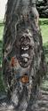 Creepy Lighted Eyes Ghost Tree Face Halloween Haun