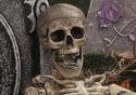 Halloween Skeleton Haunted House Prop Decoration