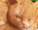 Precious Napping Cat & Kitten Indoor/Outdoor Statu