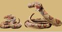 Western Striking Rattlesnakes Garden Statue Figuri