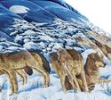 Wolf Pack  Comforter Set Howling at Moon Includes 