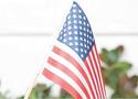 Boy & Dog w/ American Flag Patriotic Statue Figuri