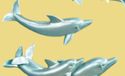 Pearled Blue Dolphin Family Nautical Beach Wall De