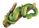 Green Tree Snake on Branch Garden or Tree Decorati