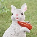 Spring Bunny Rabbit Garden Statue Holding Carrot W