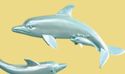 Pearled Blue Dolphin Family Nautical Beach Wall De