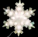 Silver & White Lighted Winter Snowflake  Indoor/Ou