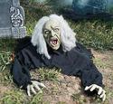 Animated Lighted  Witch Ground Breaker Haunted Hou