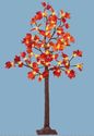 Decorative Maple Tree Rich Fall Colored Leaves 48 