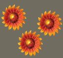 Sunflower Trio Outdoor Wall Art Solar Powered Glas