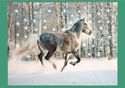  Running Appaloosa Horse Winter Snow Lighted Birch