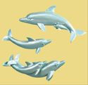 Pearled Blue Dolphin Family Nautical Beach Wall De