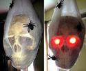 Halloween Skeleton in Spider Web Cocoon with Light