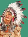 American Indian Indoor/Outdoor Statue Figurine Hea