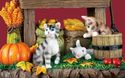 Kitty Cats Fall Harvest Table Decoration Pumpkins 