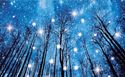 LED Twinkling Stars Wooded Blue Night Sky Scene Li