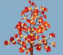 Decorative Maple Tree Rich Fall Colored Leaves 48 