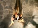 Hanging Animated Vampire Bat Halloween Prop Moving