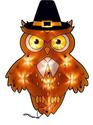 Lighted Hoot Owl In Pilgrim Hat Fall Window/Door D