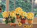 Adorable Sunny Cheerful Sunflower Shelf Sitter Fig