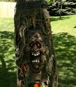 Creepy Lighted Eyes Ghost Tree Face Halloween Haun