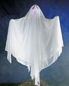 Lighted Ghost Halloween Haunted House Prop