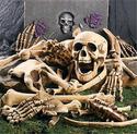 Creepy Skeleton Bones & Skull Plastic Halloween Ha