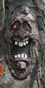 Creepy Lighted Eyes Ghost Tree Face Halloween Haun