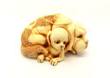 To add this item in your Shopping Cart drag and drop this picture there
