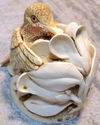 1996 Harmony Kingdom "SWEET SERENADE" Hummingbird 