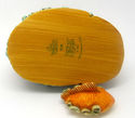 Harmony Kingdom Lord Byron's Garden "Gill"/Box Fig
