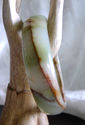 Natural Hand Carved Jade/Jadeite Bangle/inside dia