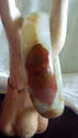 To add this item in your Shopping Cart drag and drop this picture there