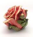 Lord Byron's Harmony Garden "Single Pink Rose"/Har